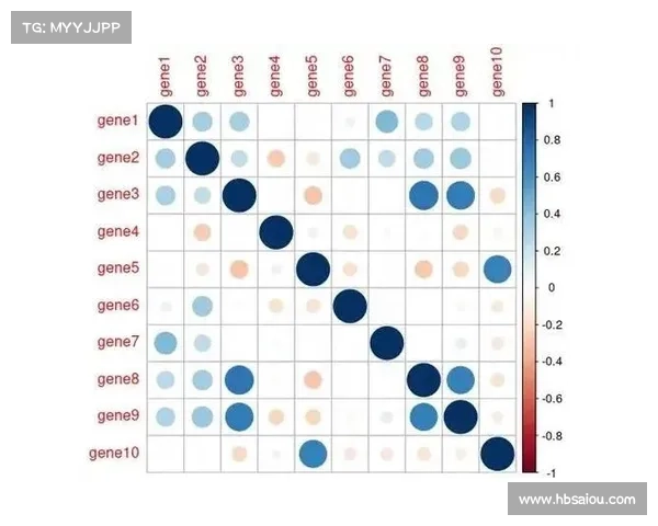 从语言表达看巴舒亚伊如何在文化认同与社会交流中展现独特性