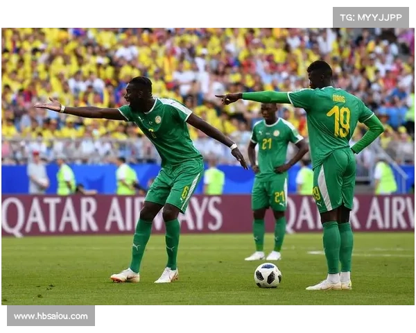 北美杯赛精彩纷呈全面解析,你不可不知的赛事历史与现状